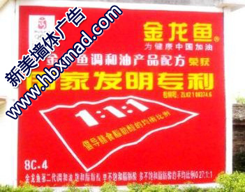 安徽墻體廣告 新美墻體廣告高清圖片發布助力品牌傳播