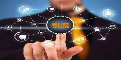 網商破局之路 破解曝光、引流與轉化三大核心難題