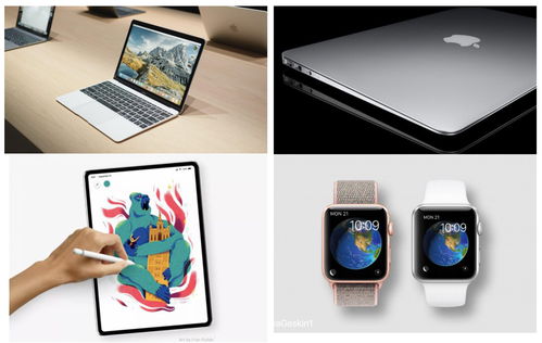 斑馬傳媒2018年9月營銷熱點日歷，廣告人必收藏